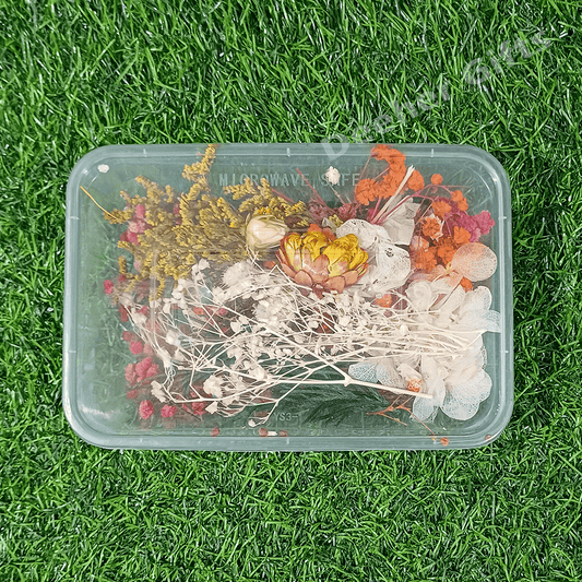 DRY FLOWER MIX (DG-HBR-FOL1)